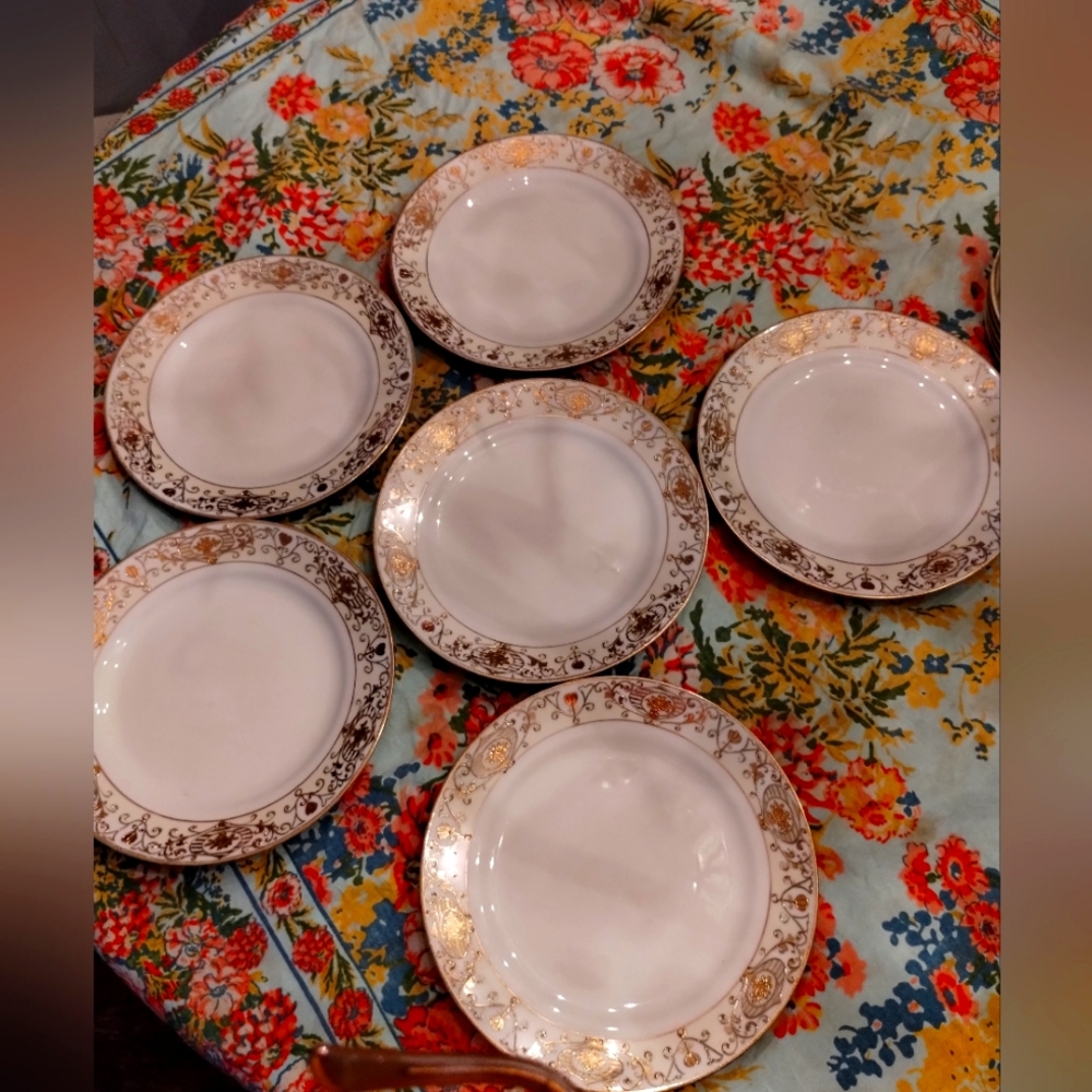 Nippon porcelain dinner plates